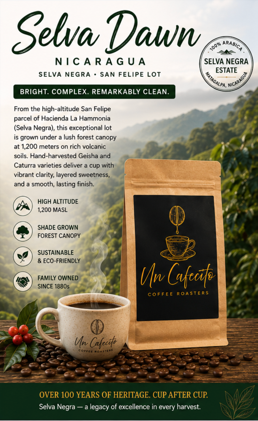 Selva Dawn (Nicaragua)