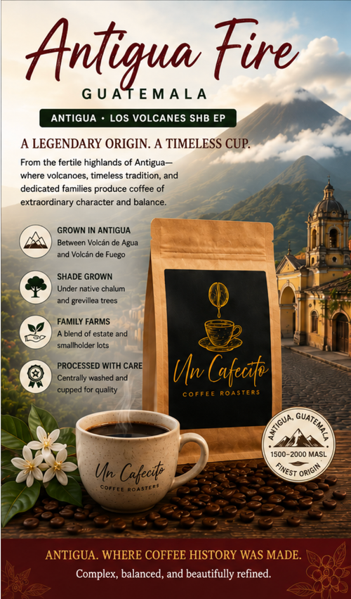 Antigua Fire (Guatemala)