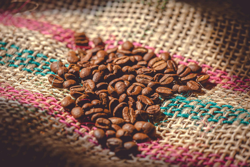 Selva Dawn (Nicaragua)