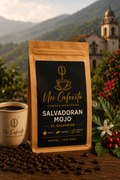 Salvadoran Mojo