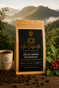 Selva Dawn (Nicaragua)