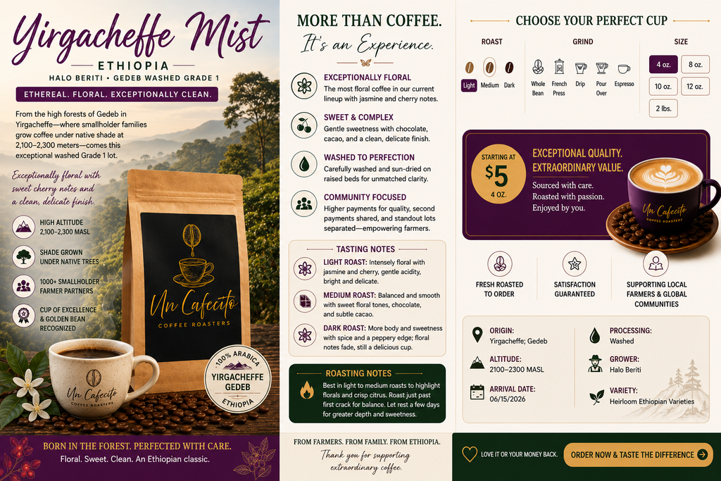 Yirgacheffe Mist (Ethiopia)